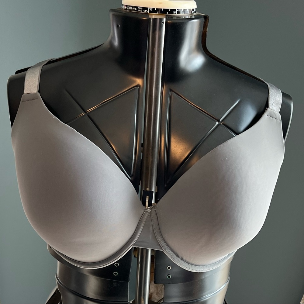 Gray Bra 42DD